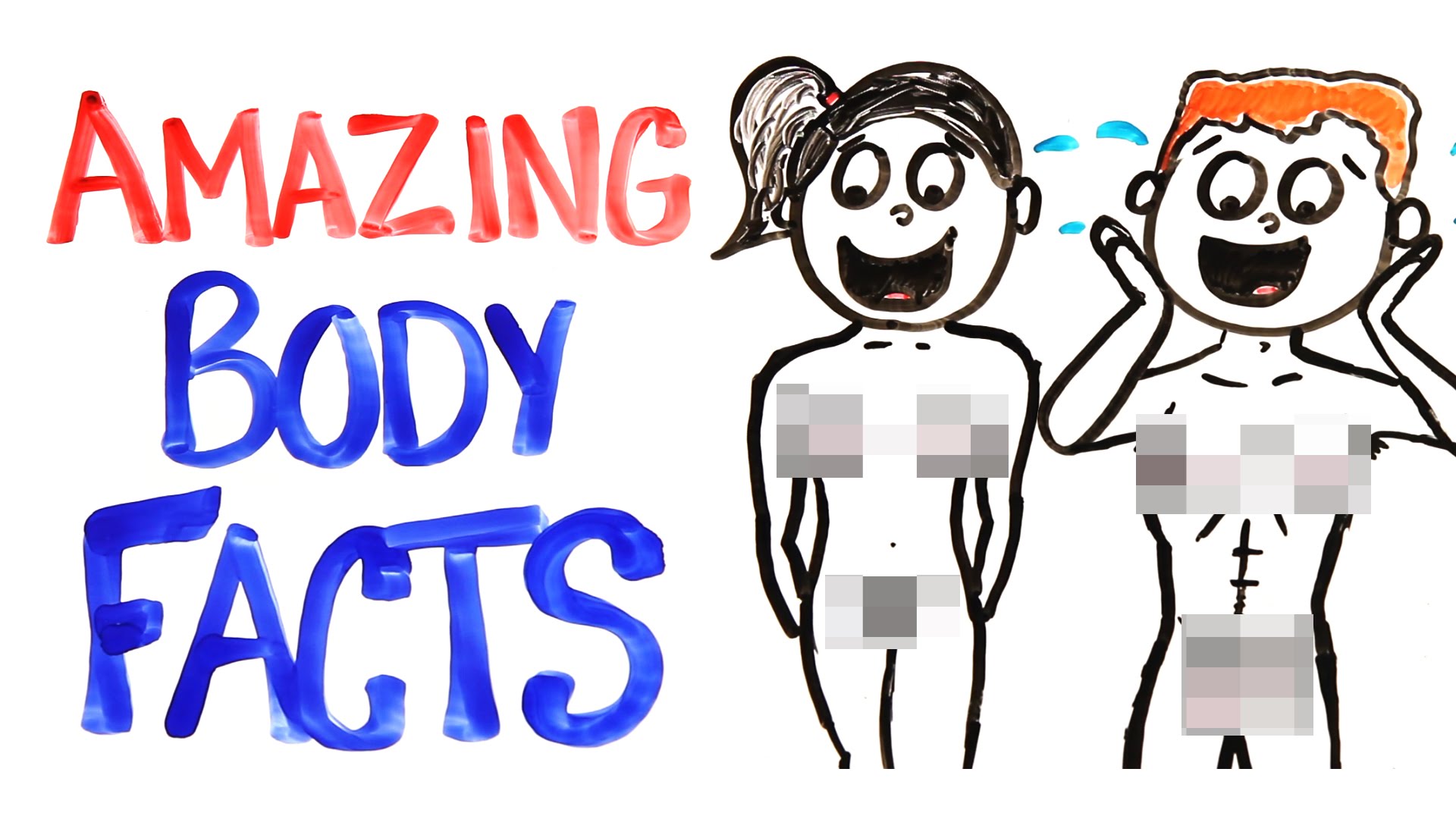 1920x1080 Why Your Body Is Amazing!