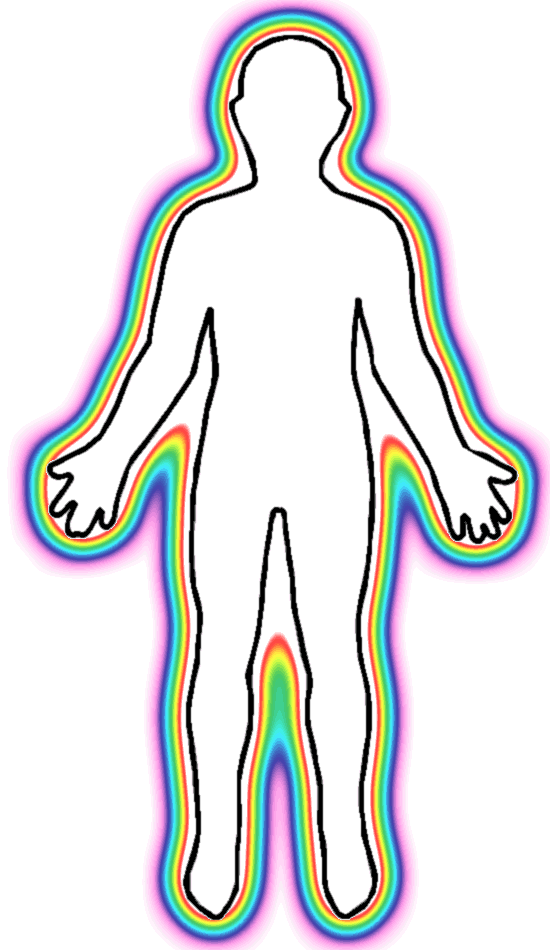 550x950 Picture Of A Body Human Outline Printable Free Download Clip Art