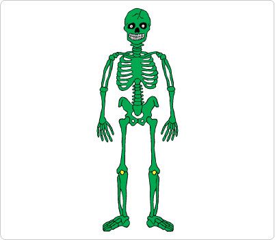 402x351 Skeleton Clip Art Human Body Clip Art Clip Art