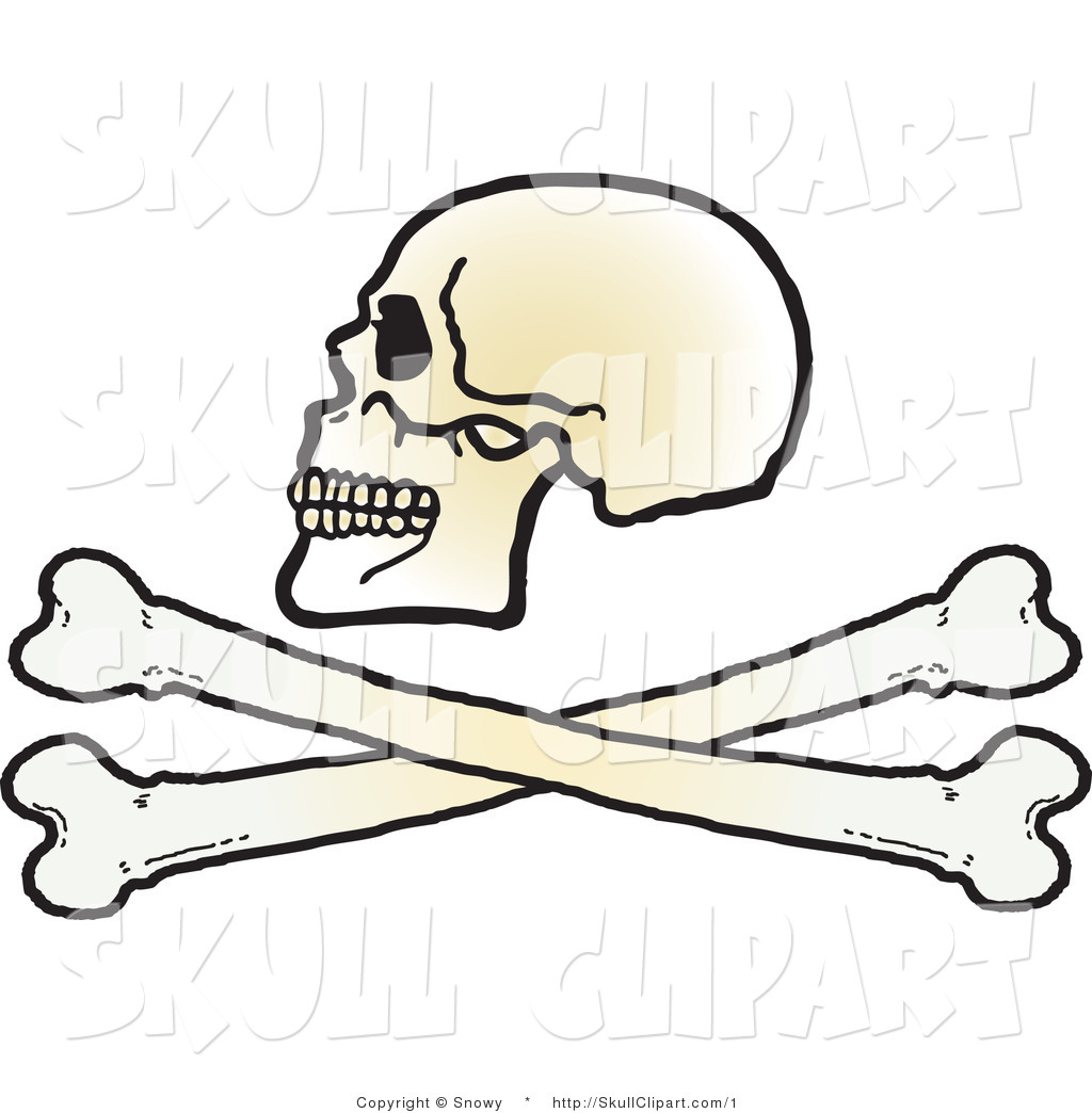 1024x1044 Vector Clip Art Of A Skull Over Cross Bones By Snowy