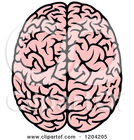 450x470 Clipart Of A Pink Human Brain 3