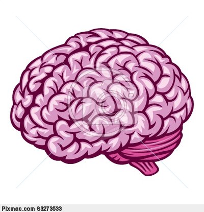 400x415 Human Brain Art