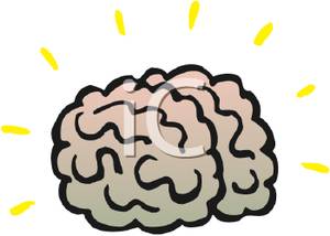 300x214 The Human Brain Clip Art Image Clipart Panda
