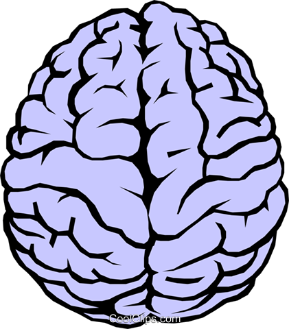 421x480 The Human Brain Royalty Free Vector Clip Art Illustration