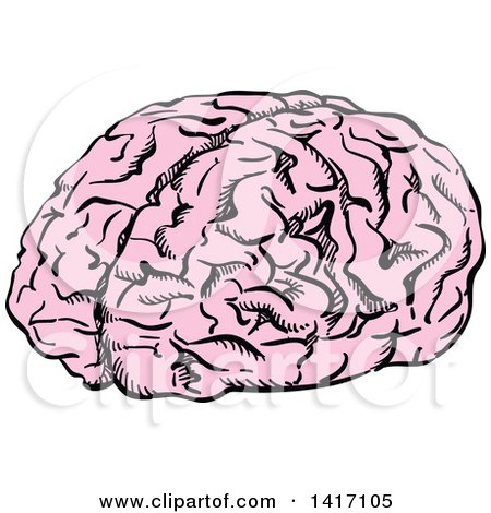 450x470 Clipart Of A Black And White Human Brain 3