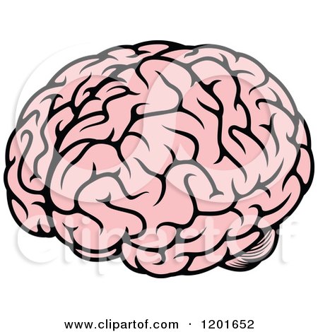450x470 Clipart Of A Pink Human Brain