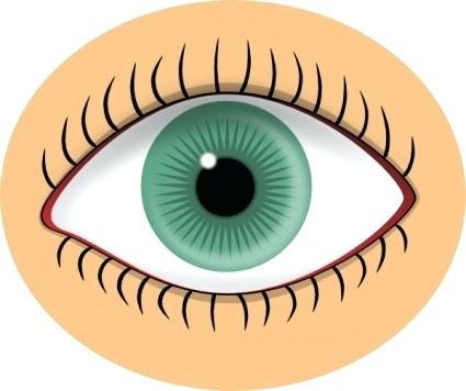 425x356 Free Clip Art Eye Eyes Blue Eye Clip Art Free Vector In Open