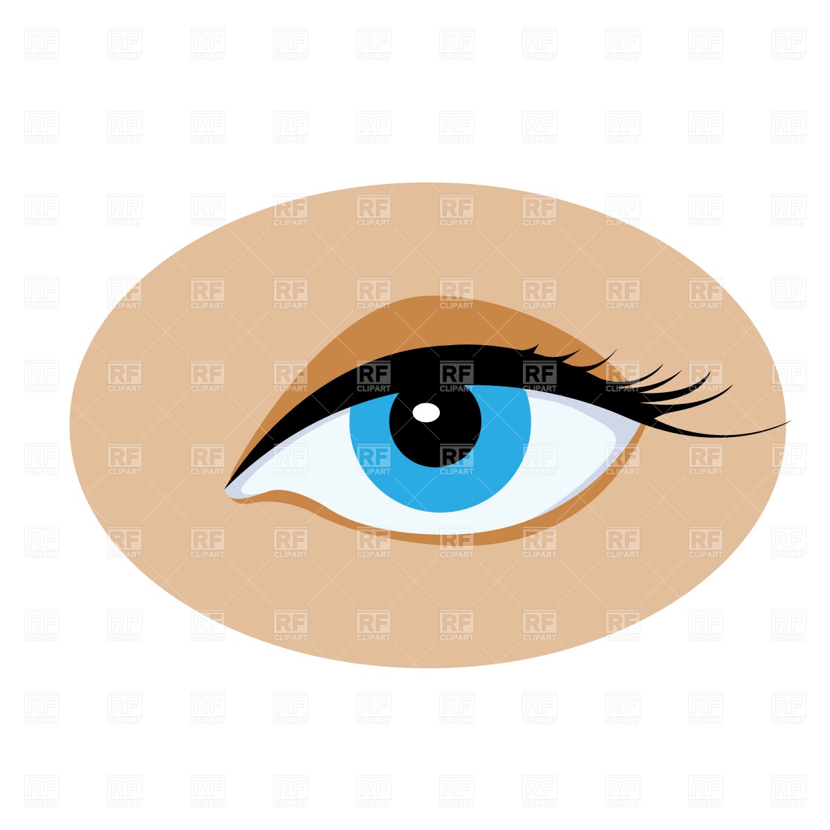 1200x1200 Opened Human Eye Free Download Vector Clip Art Image