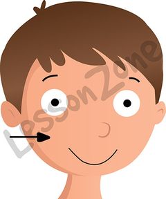 240x288 Face Cheeks Clipart