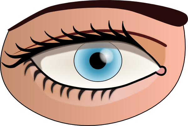 600x403 Collection Of Human Eyes Clipart For Kids High Quality, Free