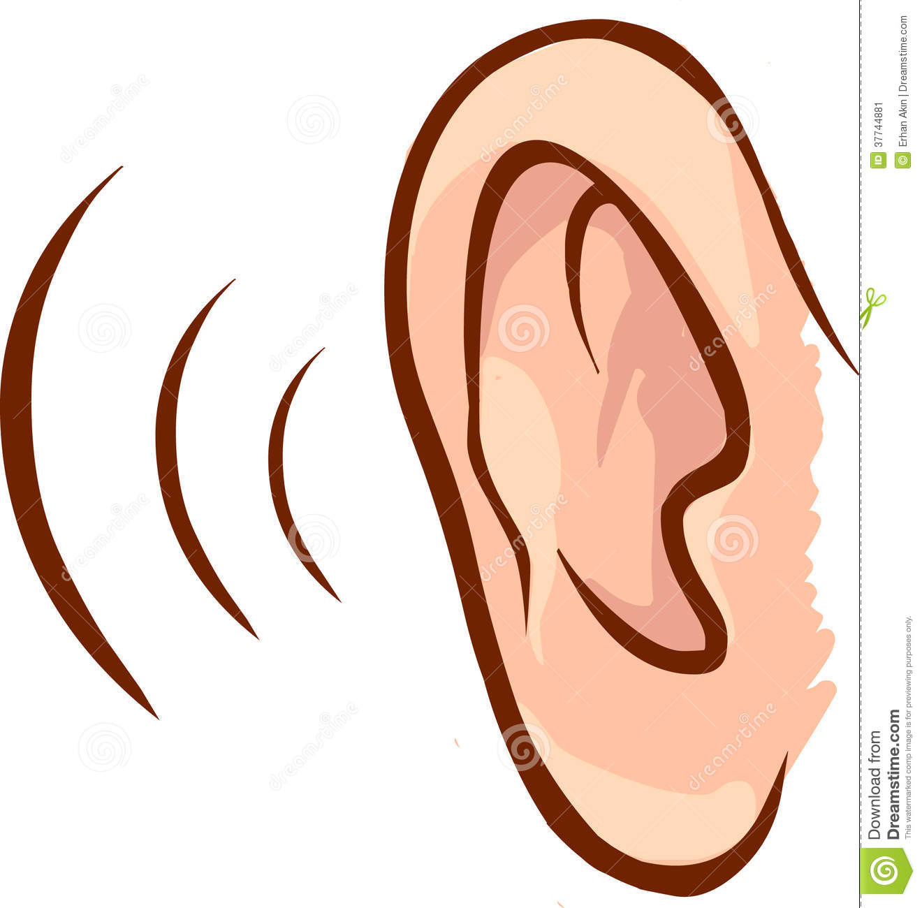 1320x1300 Ear Clip Art