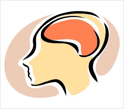 401x351 Awesome Of Brain In Girl Head Clipart