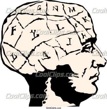 373x383 Human Brain Clip Art Clipart Panda