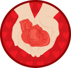 300x289 Free Human Heart Clipart Image 0071 0908 2710 3737 Acclaim Clipart