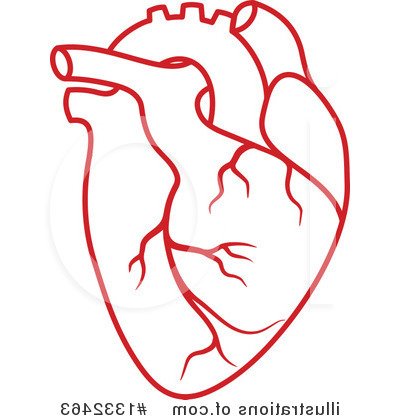 400x420 Human Heart Clip Art Many Interesting Cliparts