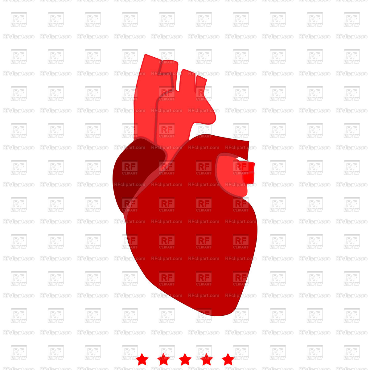 1200x1200 Human Heart Red Icon Royalty Free Vector Clip Art Image