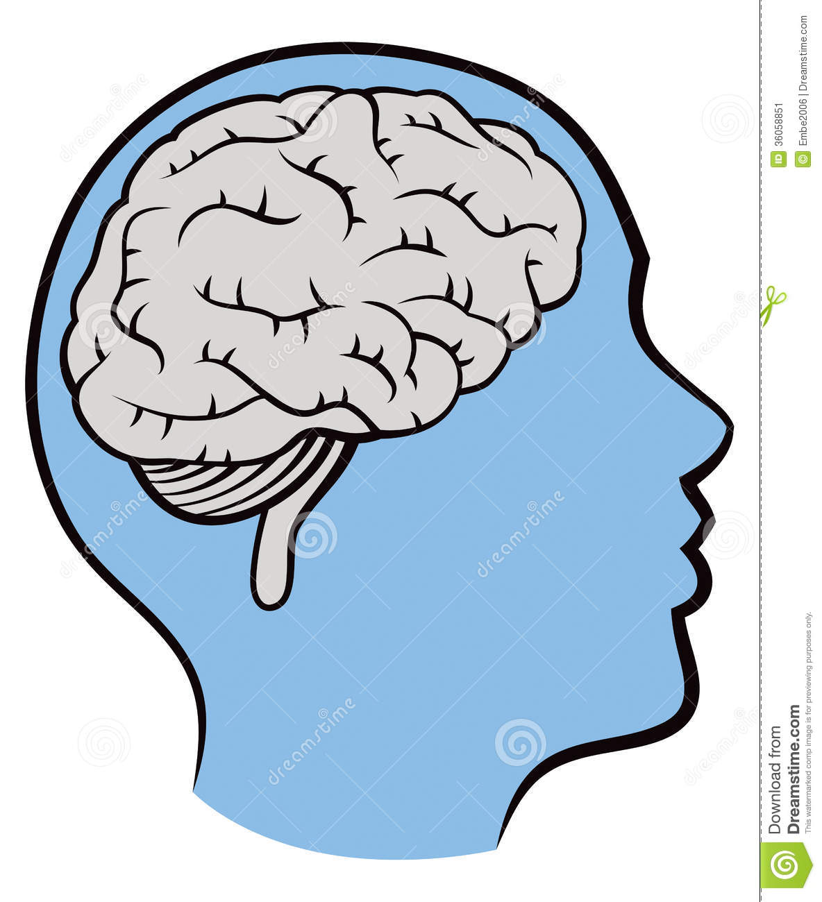 1184x1300 Brain Clipart Neurology