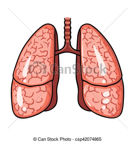 450x470 Human Lungs Icon In Cartoon Style Isolated On White Clip Art