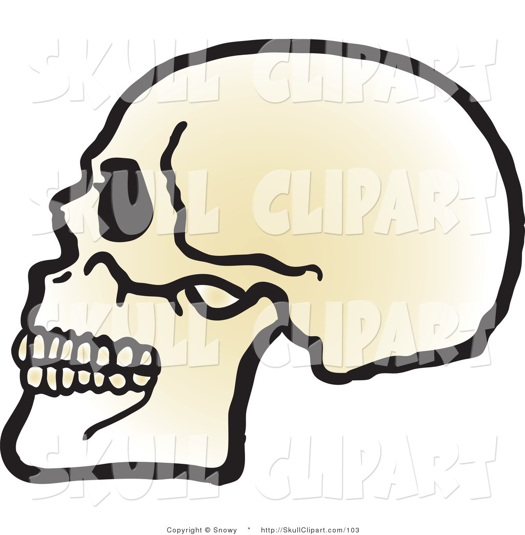 1024x1044 Royalty Free Stock Skull Designs Of Bones