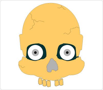 Human Skull Clipart