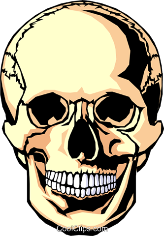 333x480 Human Skull Royalty Free Vector Clip Art Illustration Medi0102