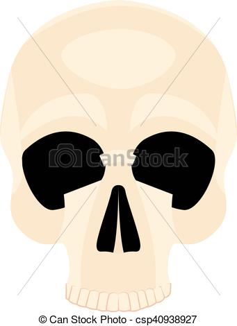 341x470 Icon Human Skull Isolated On A White Background Vector
