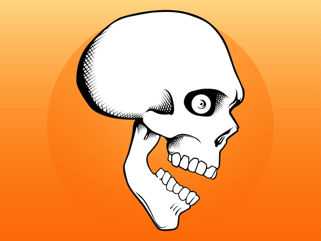 1024x768 Skull Images Cartoon