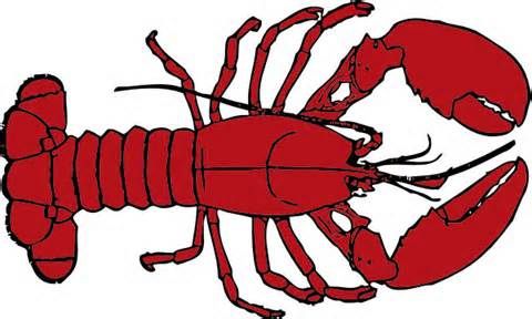 480x288 Printable Clip Art Pictures Lobster