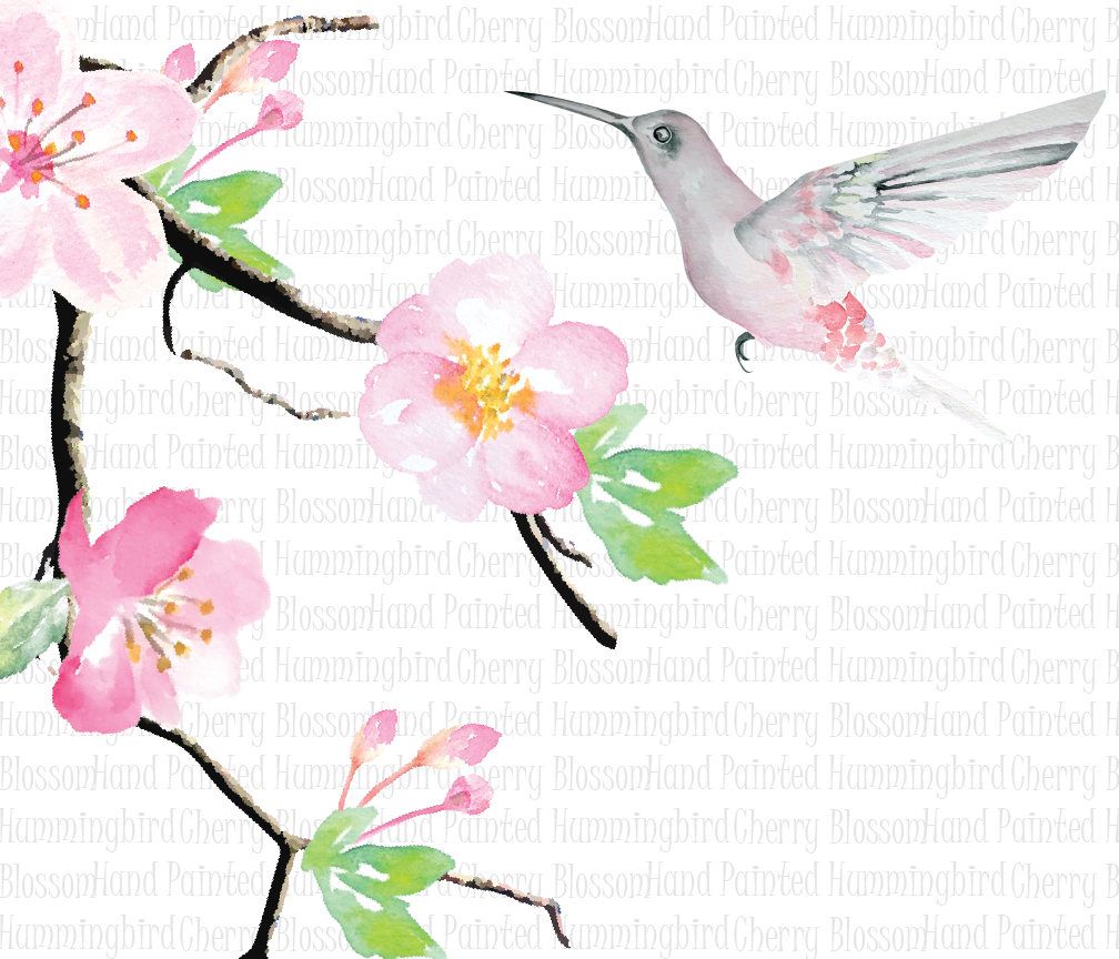 1008x864 Digital Watercolor Hummingbird Clip Art Greeting Scrapbooking