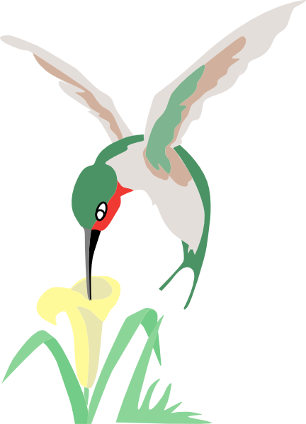 432x599 Green And White Hummingbird With Flower Clip Art