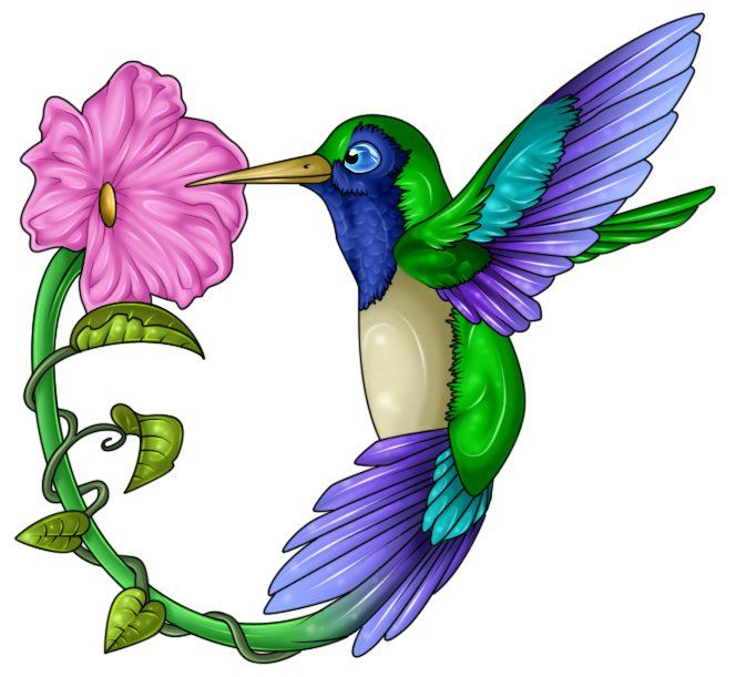 664x611 Hummingbird Clipart Stencil
