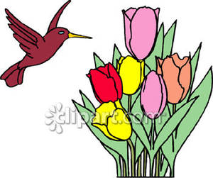 300x251 Hummingbird Clipart, Suggestions For Hummingbird Clipart, Download