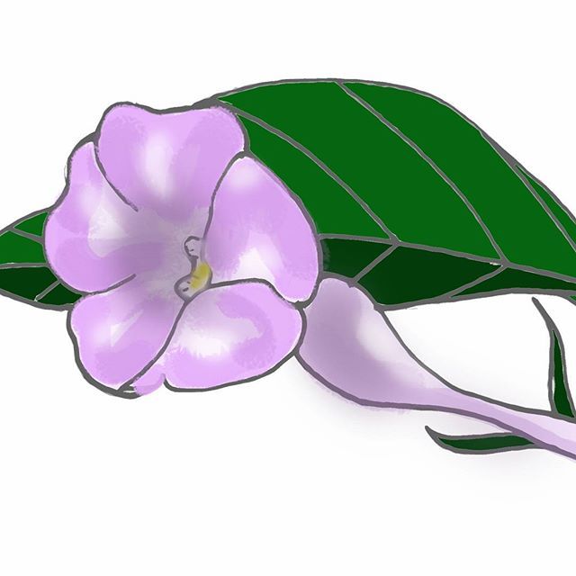 640x640 Nectar Clipart Hummingbird