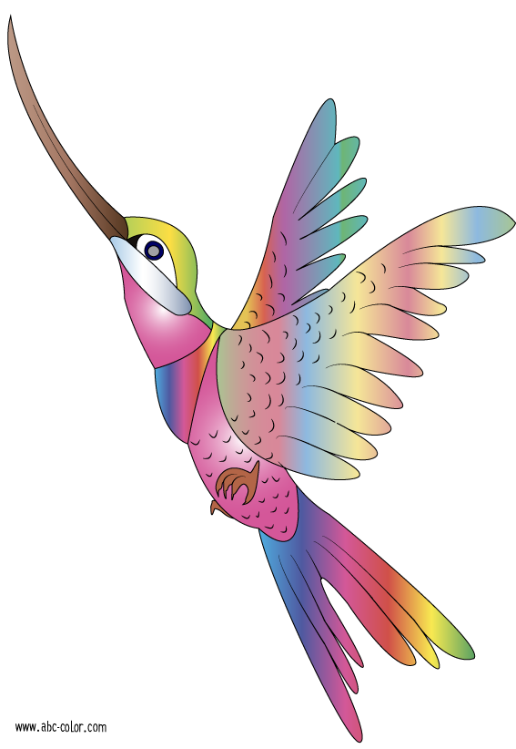 Hummingbird Clipart