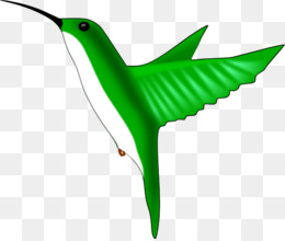 260x220 Free Download Hummingbird Clip Art
