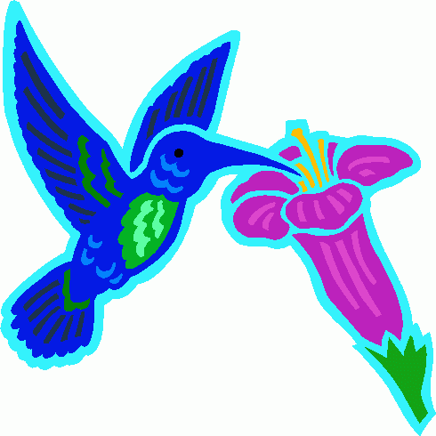 490x490 Hummingbird Art Hummingbird 1 Clipart