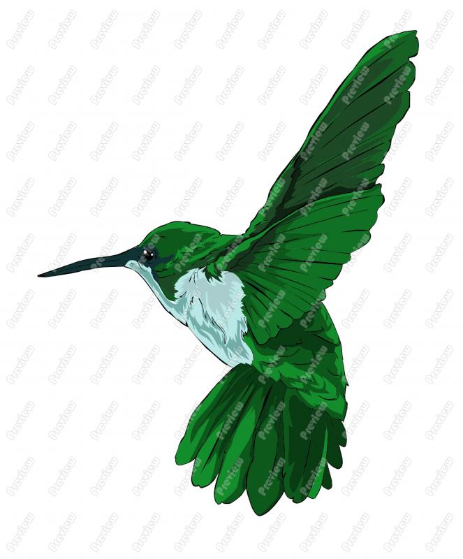 663x800 Hummingbird Character Clip Art
