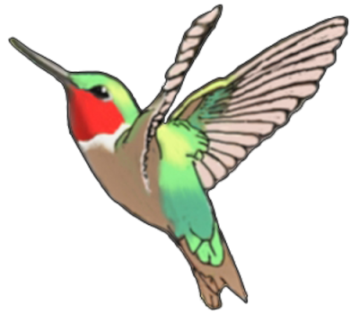 400x349 Hummingbird Tattoos Png Transparent Images Free Download Clip Art