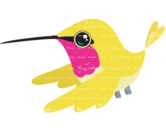 570x453 Hummingbird Clipart 6