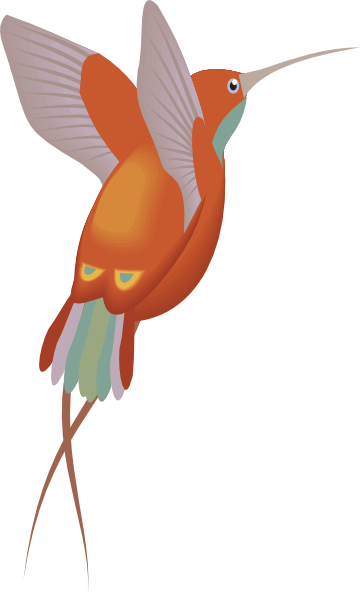 360x594 Hummingbird Free To Use Clipart