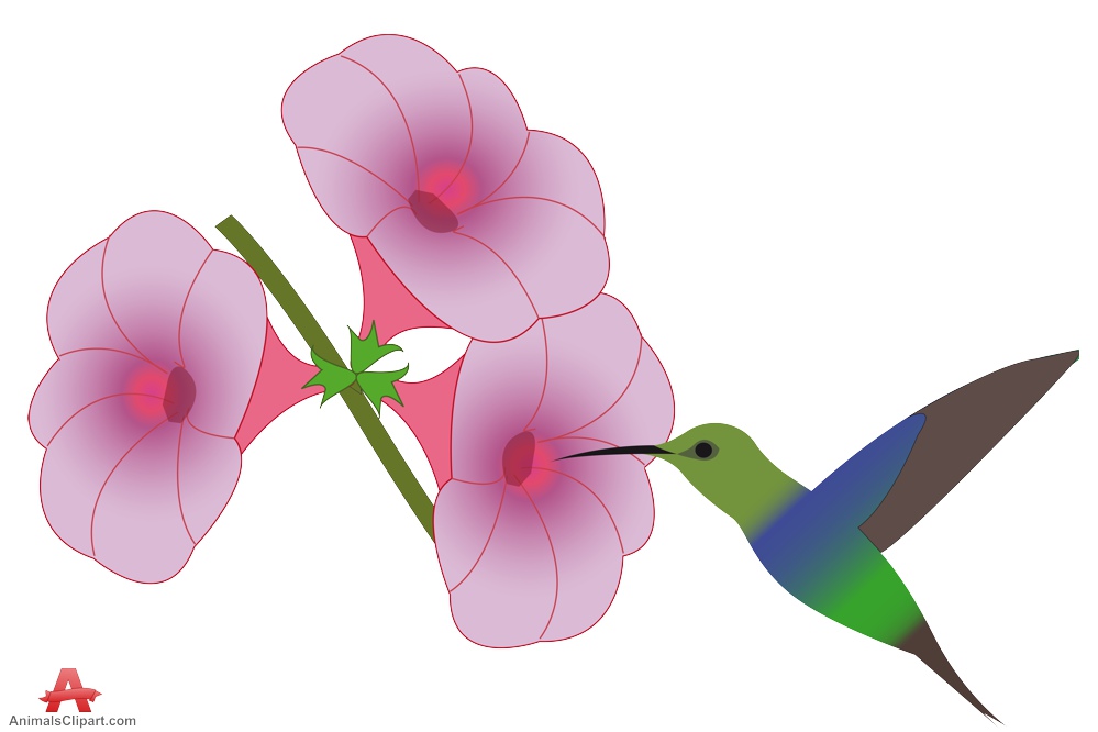 999x666 Hummingbirds And Flowers Clipart