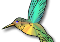 200x140 Hummingbird Clip Art Hummingbird Clipart Clipart Panda Free