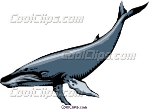 300x221 Humpback Whales Vector Clip Art