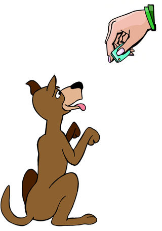 320x457 Is Clicker Training The Most Effective Way To Train Dogs