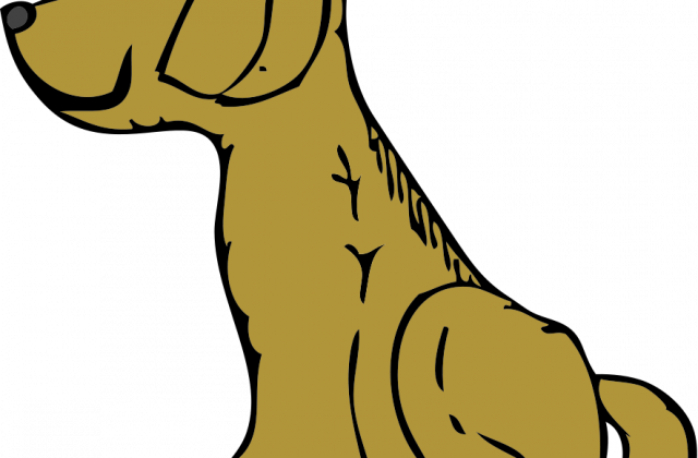 640x420 Tag For Best Puppies Images Free Download Free Clipart Downloads