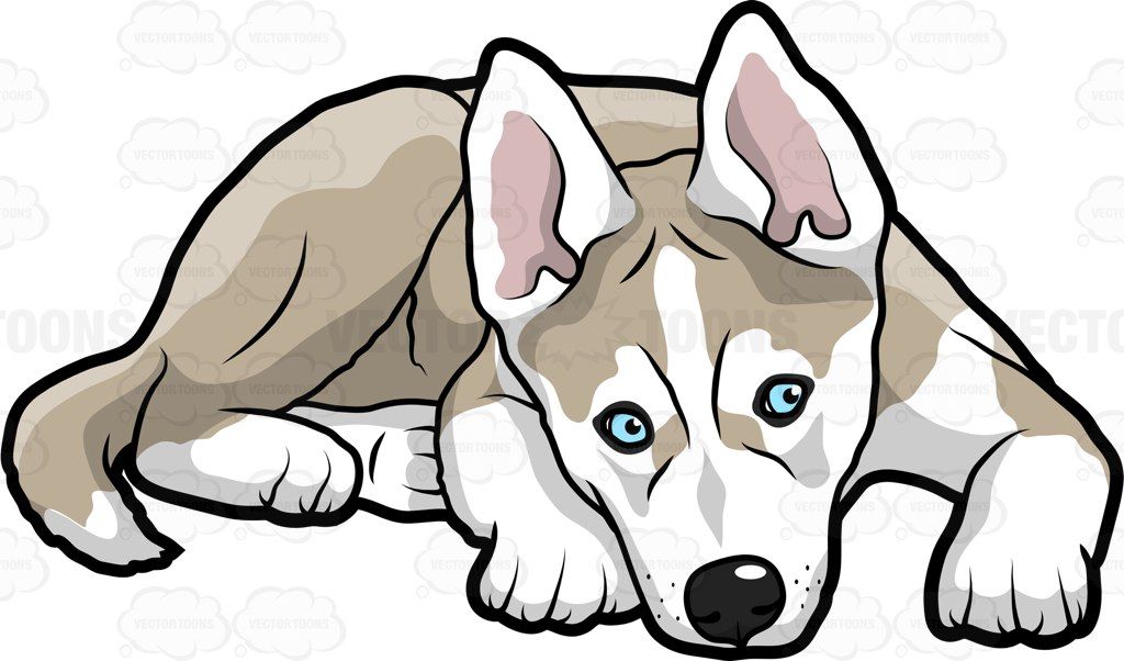 1024x602 A Puppy Looking Scared And Cold Vector Clipart And Cartoon Images