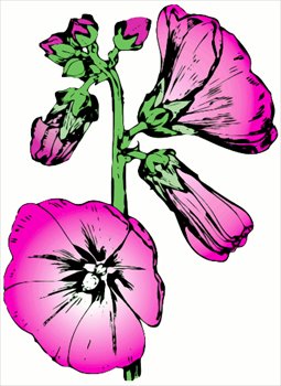 255x350 Free Hollyhock 2 Clipart