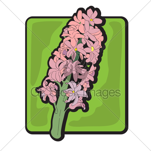 500x500 Hyacinth Clip Art Gl Stock Images