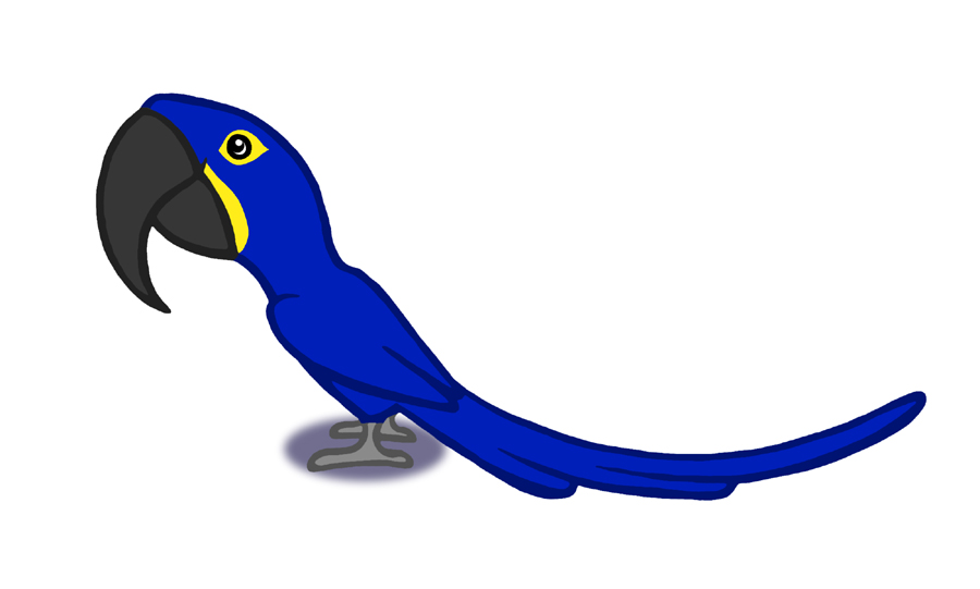 900x541 Hyacinth Macaw Caricature By Lintunen
