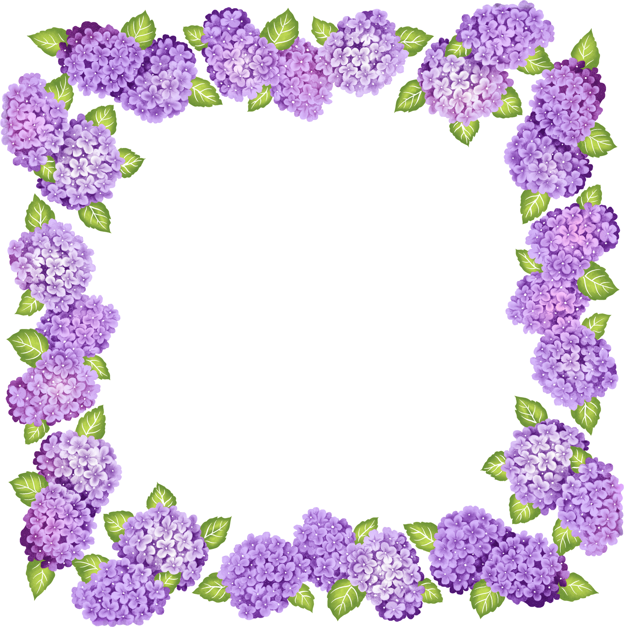 2000x2009 Cute Transparent Purple Flowers Frameu200b Gallery Yopriceville